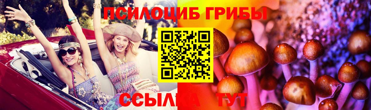Кандалакша  Галлюциногенные грибы ЛСД  Вход с VPN 