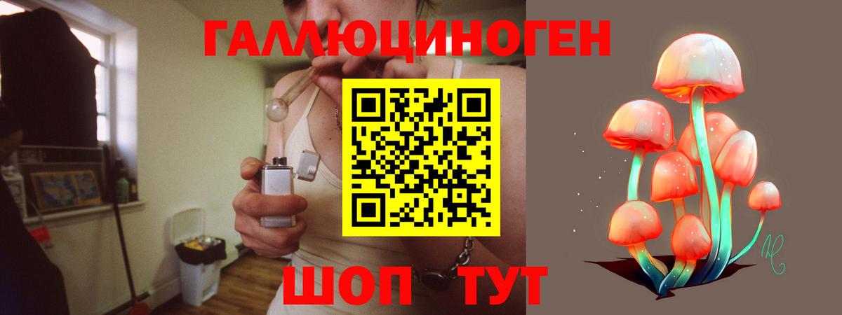 Псилоцибиновые грибы мухоморы Кандалакша